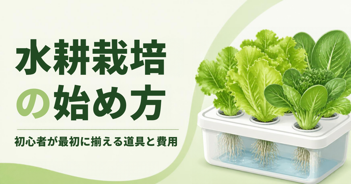 水耕栽培の始め方のアイキャッチ。容器で育つ葉野菜のイラスト