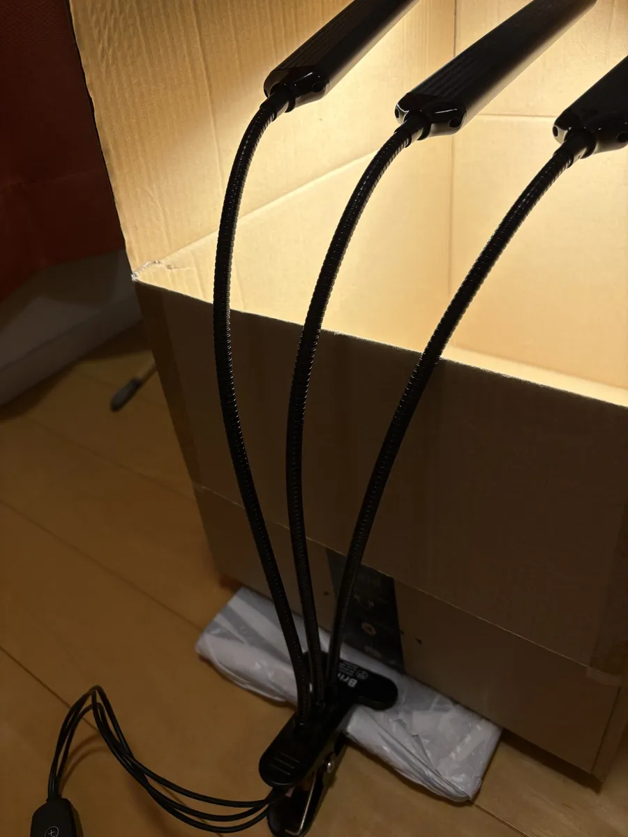 ダンボール箱の側面から見た、点灯中のLEDライト